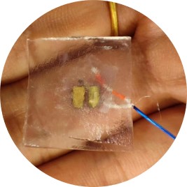 GEMView Portable Scanner